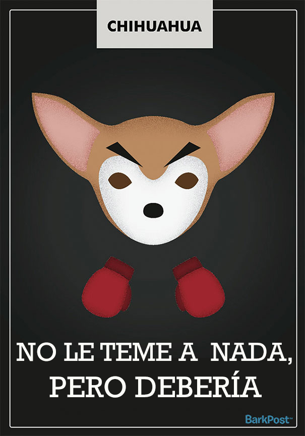 ilustraciones-eslogan-razas-perros-9