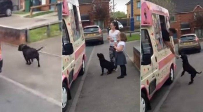 ¡Yo también quiero un helado!