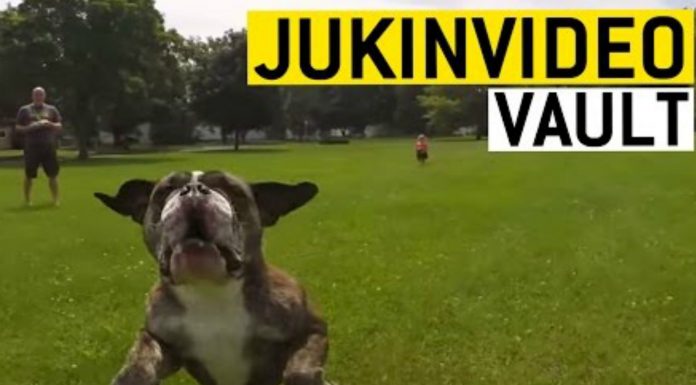 Fails protagonizados por drones