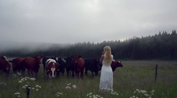 La chica que atraía a las vacas