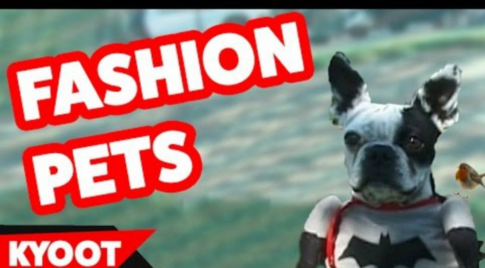 Los animales también quieren ir a la moda