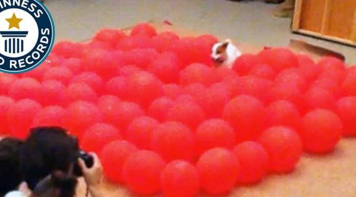 ¡Yo quiero explotar globos!