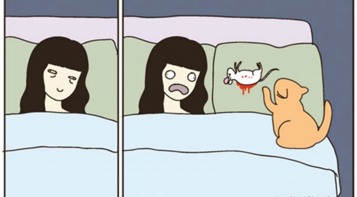 La divertida vida de los que tienen gatos (Parte I)