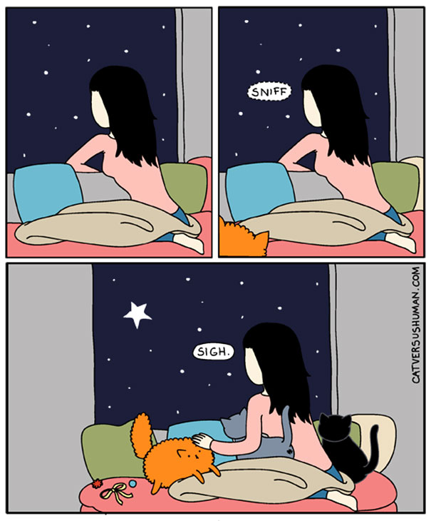 comics-gatos-catversushuman-8