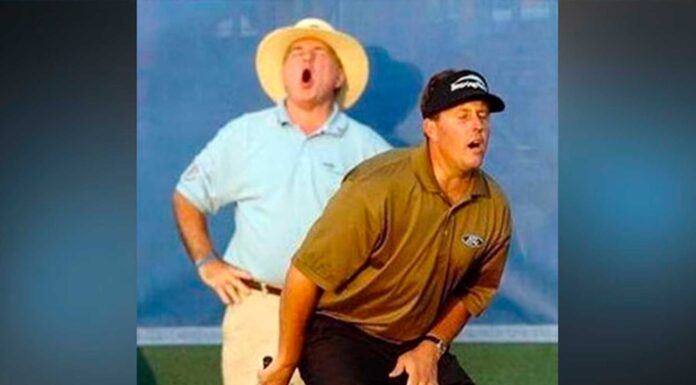 12 Fotos malpensadas | ¿Qué ves en este imágenes? fotos malpensadas